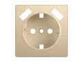 Накладка для USB розетки /WL10-USB-CP (шампань рифленый)