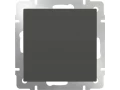 Перекрестный переключатель 1-клавишный /WL06-SW-1G-C (серебряный)