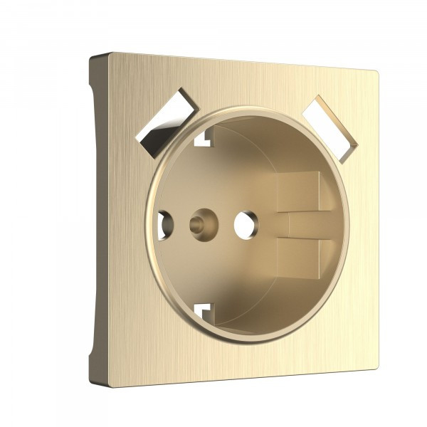 Накладка для USB розетки /W1179510 (шампань рифленый)