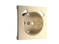 Накладка для USB розетки /W1179510 (шампань рифленый)