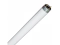 Лампа люминесцентная T8 36W