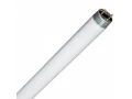 Лампа люминесцентная T8 36W
