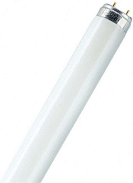 Лампа люминесцентная L30/765 OSRAM