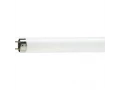 Лампа люминесцентная NL-T8 18W/765 25*1 FED RDIUM OSRAM