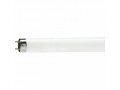 Лампа люминесцентная NL-T8 18W/765 25*1 FED RDIUM OSRAM