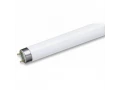 Лампа люминесцентная L18/765 OSRAM
