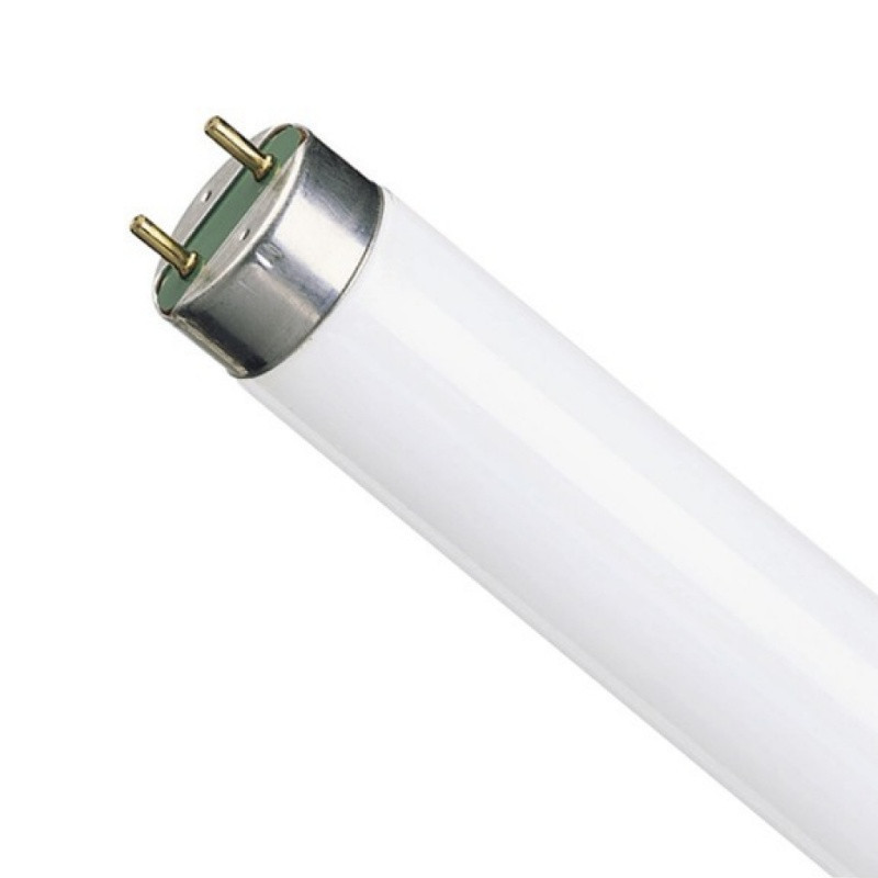 Лампа люминесцентная L36/765 OSRAM