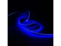 Лента Gauss Basic LED 2835/120 12V 9,6W/m 624lm/m 4000K 8mm IP20 3m 1/100