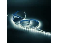 Лента Gauss Basic LED 5050/60 12V 8W/m 900lm/m 4000K 10mm IP20 3m 1/100