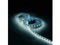 Лента Gauss Basic LED 5050/60 12V 8W/m 900lm/m 4000K 10mm IP20 3m 1/100