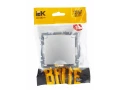BRITE Розетка 1-местная с заземлением со шторками и крышкой 16А IP44 РСбш10-3-44-БрА алюминий ИЭК