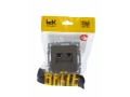 Розетка компьютерная двойная RJ45 кат.5E РК10-2-БрШ шампань BRITE ИЭК