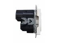 BRITE Розетка 1-местная с заземлением с защитными шторками 16А с USB A+C 18Вт РЮш11-1-БрЖ жемчуг ИЭК