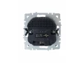 BRITE Розетка 1-местная с заземлением с защитными шторками 16А с USB A+C 18Вт РЮш11-1-БрС сталь ИЭК