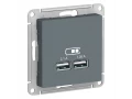 Розетка USB двойная для зарядки А+А, 5В/2,1А механизм, Грифель /ATN000733/