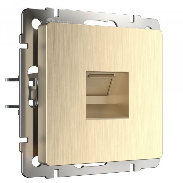 Розетка Ethernet RJ-45 /W1181010 (шампань рифленый)