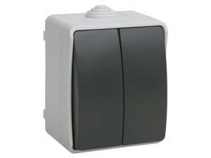 Выключатель ВС20-2-0-ФСр двухклавишный для открытой установки ФОРС 10А IP54 сер IEK