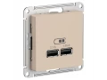 Розетка USB 5В/2 двойная для зарядки А+А, 1А, механизм, Песочный /ATN001233/