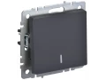 BRITE Выключатель 1-клавишный проходной с индикацией 10А ВС10-1-7-БрГ графит ИЭК
