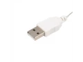 Гирлянда Роса 2 м, 20 диодов, USB, цвет RGB