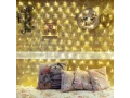 Гирлянда Сеть 1,5х1,5м, прозрачный ПВХ, 150 LED теплые белые