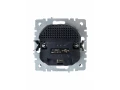 BRITE Розетка 1-местная с заземлением с защитными шторками 16А с USB A+A 5B 2,1A  РЮш10-1-БрШ шампань ИЭК