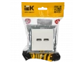 BRITE Розетка USB A+A 5В 3,1А РЮ10-1-БрБ белый ИЭК