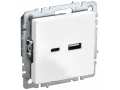 BRITE Розетка USB A+C 18Вт РЮ11-1-БрБ белый ИЭК