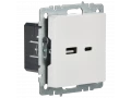 BRITE Розетка USB A+C 18Вт РЮ11-1-БрБ белый ИЭК