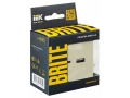 BRITE Розетка USB A+C 18Вт РЮ11-1-БрКр бежевый ИЭК