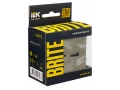 BRITE Розетка USB A+C 18Вт РЮ11-1-БрШ шампань ИЭК