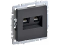 BRITE Розетка компьютерная двойная RJ45 кат.5E РК10-2-БрГ графит ИЭК