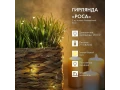 Гирлянда светодиодная Роса 2 м, 20 LED, теплое белое свечение NEON-NIGHT