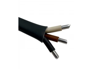 Кабель АсВВГнг LS 3*25