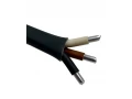 Кабель АсВВГнг LS 3*25