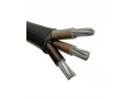 Кабель АсВВГнг LS 3*25