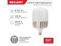 Лампа светодиодная высокомощная 100Вт E27 (+переходник E40) 9500Лм AC140~265В 6500K REXANT