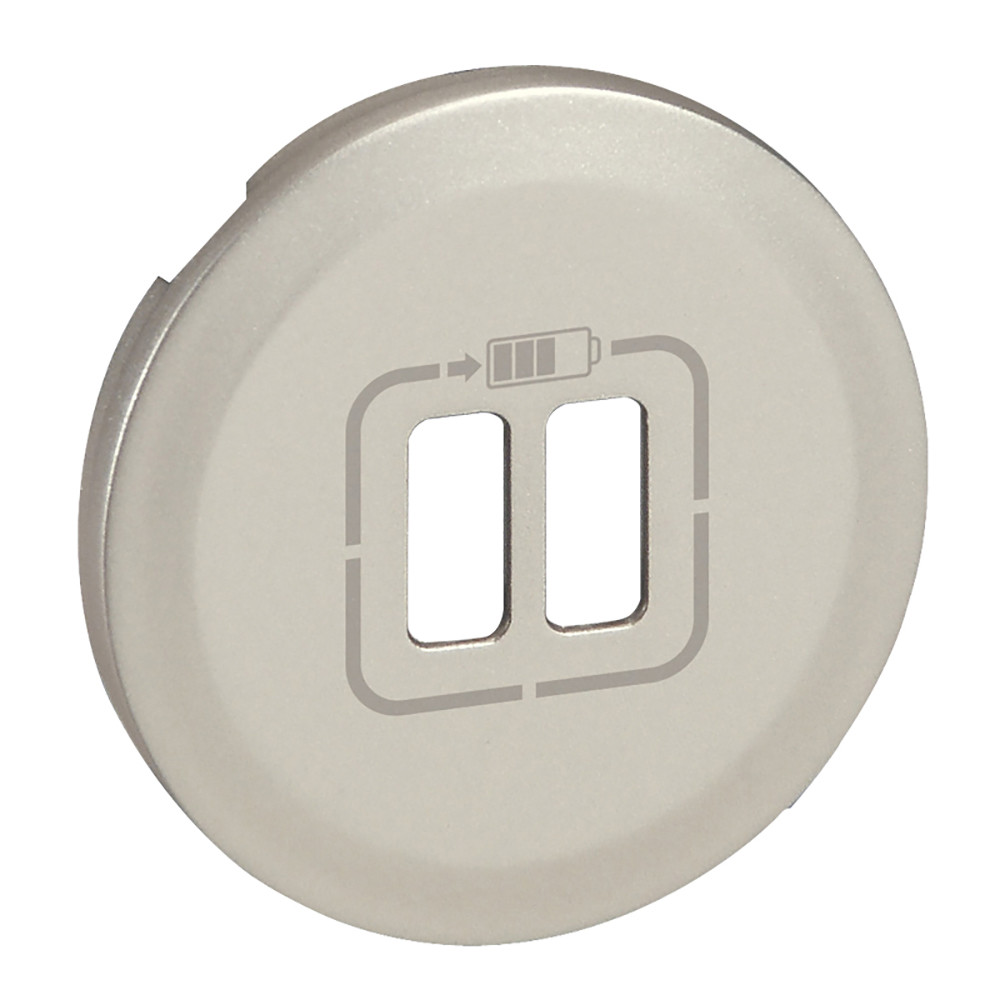 Панель лицевая USB Розетка CEL белая /68256/