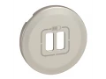 Лицевая панель розетка зарядка 2USB CLN титан /068556/