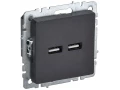 BRITE Розетка USB A+A 5В 3,1А РЮ10-1-БрЧ черный ИЭК