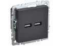 BRITE Розетка USB A+A 5В 3,1А РЮ10-1-БрЧ черный ИЭК