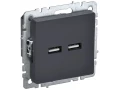 BRITE Розетка USB A+A 5В 3,1А РЮ10-1-БрГ графит ИЭК