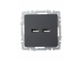 BRITE Розетка USB A+A 5В 3,1А РЮ10-1-БрГ графит ИЭК