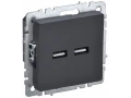 BRITE Розетка USB A+A 5В 3,1А РЮ10-1-БрГ графит ИЭК