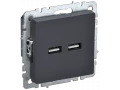 BRITE Розетка USB A+A 5В 3,1А РЮ10-1-БрГ графит ИЭК
