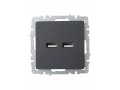 BRITE Розетка USB A+A 5В 3,1А РЮ10-1-БрГ графит ИЭК