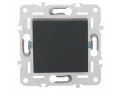 SKANDY Выключатель 1-клавишный перекрестный 10А SK-V03G графит IEK