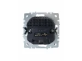 BRITE Розетка 1-местная с заземлением со шторками 16А с USB A+A 5В 3,1А РЮш10-2-БрШ шампань ИЭК