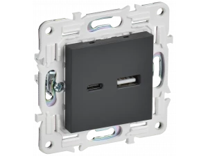 SKANDY Розетка USB A+C 18Вт SK-R13G графит IEK