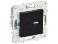 SKANDY Розетка USB A+C 3,1А SK-R14Bl черный IEK